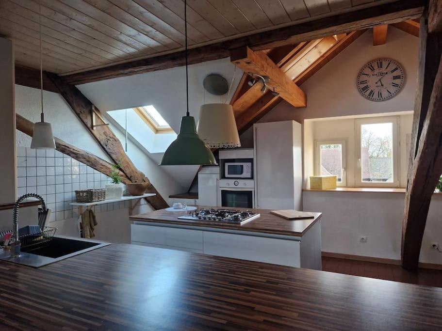 Apartament Le Grenier Dannemarie  Zewnętrze zdjęcie